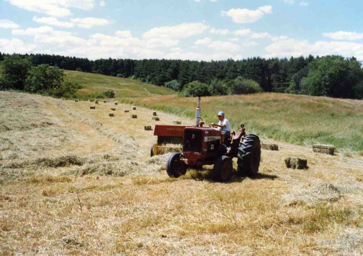 Johnson Farm, Haying in the 1960s